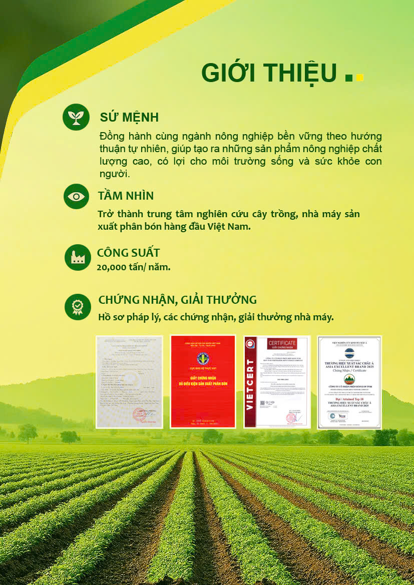 Giới thiệu công ty