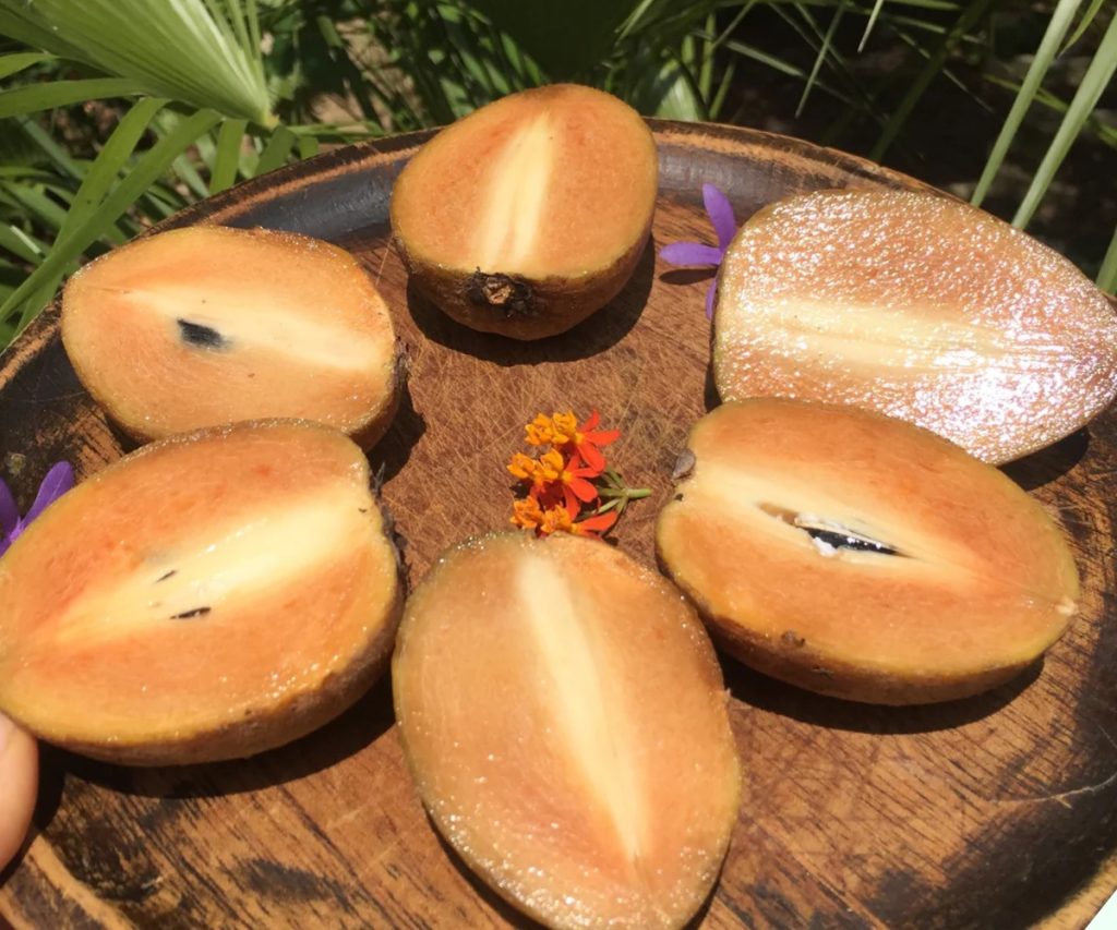 cách dấm hổng xiêm