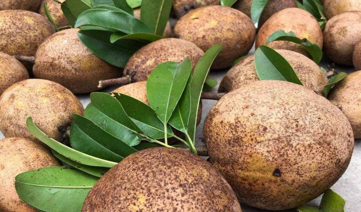 Cách dấm hồng xiêm