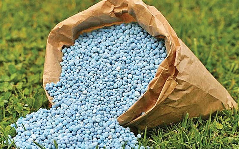 Phân hữu cơ vi sinh và phân hóa học