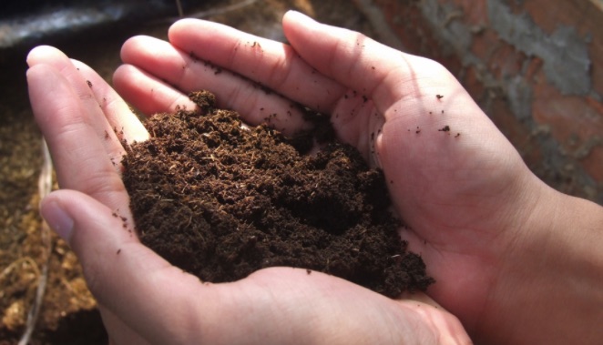 Sự khác nhau giữa phân bón hữu cơ vi sinh, phân hữu cơ, phân hóa học