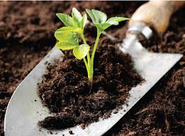  bổ sung chất hữu cơ cho đất nông nghiệp